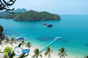 Koh Samui Angthong National Marine Park Tour by Speed Boat