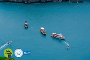 Koh Samui Angthong National Marine Park Tur med snabb båt