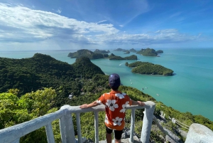 Koh Samui: Angthong National Park heldagsutflykt med motorbåt