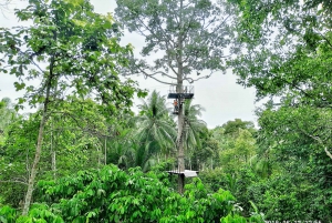Koh Samui: ATV And Zipline Experience with Transfer