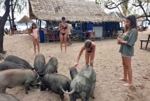 Koh Samui: Autentisk lokal luksus long-tail bådtur