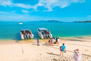Koh Samui: Koh Tao and Nangyuan Snorkeling Tour with Lunch