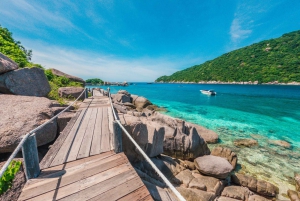 Koh Samui: Koh Tao and Nangyuan Snorkeling Tour with Lunch
