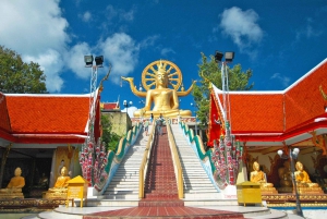 Koh Samui: Beach Yoga Class & Full-Day Sightseeing Tour