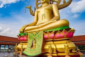 Koh Samui: City Highlights Day Tours with Hotel Transfer