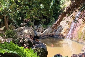 Koh Samui: City Highlights Day Tours with Hotel Transfer