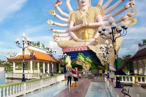 Koh Samui: City Highlights Day Tours with Hotel Transfer