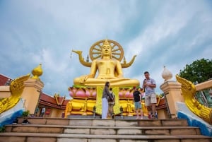 Koh Samui City Tour with Cultural and Scenic Highlights