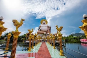 Koh Samui City Tour with Cultural and Scenic Highlights