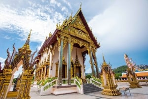 Koh Samui City Tour with Cultural and Scenic Highlights