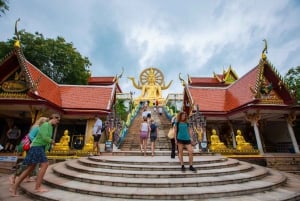 Koh Samui City Tour with Cultural and Scenic Highlights