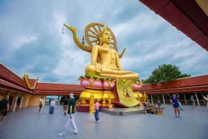 Koh Samui City Tour with Cultural and Scenic Highlights