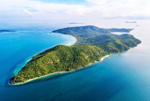 Koh Samui: Coral & Pig Island Longtail Boat Small-Group Tour
