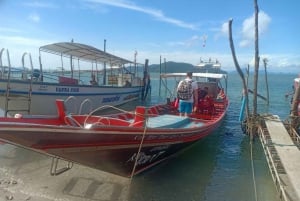 Koh Samui: Coral & Pig Island Longtail Boat Small-Group Tour