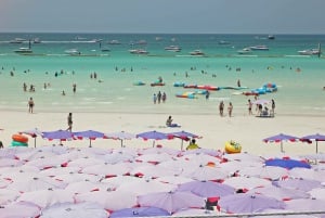 Koh Samui: Coral & Pig Island Longtail Boat Small-Group Tour