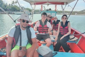 Coral & Pig Island Longtail Boat Small-Group Tour