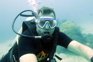 Koh Samui: Day Trip Diving at Sail Rock