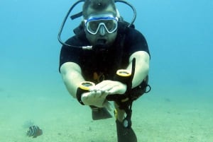 Koh Samui: Discover Scuba Diving