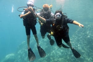 Koh Samui: Discover Scuba Diving