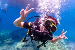 Koh Samui: Discovery Dive to Koh Tao or Sail Rock