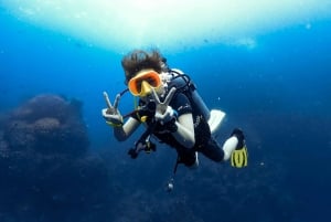 Koh Samui: Discovery Dive to Koh Tao or Sail Rock