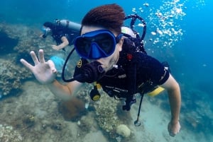 Koh Samui: Discovery Dive to Koh Tao or Sail Rock