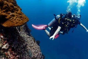 Koh Samui: Dive Tour Chumphon Pinnacles