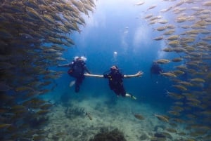 Koh Samui: Wycieczka nurkowa na Koh Tao