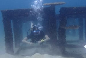 Koh Samui: Experiência de viagem de mergulho em Koh Tao