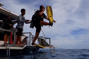 Koh Samui: Experiência de viagem de mergulho em Koh Tao