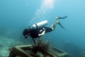 Koh Samui: Experiência de viagem de mergulho em Koh Tao