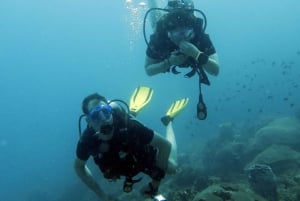 Koh Samui: Experiência de viagem de mergulho em Koh Tao