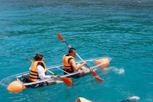 Koh Samui: Dolphins with 3-Island Tour by Speed Catamaran