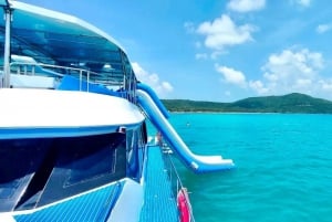 Koh Samui: Dolphins with 3-Island Tour by Speed Catamaran