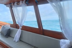 Koh Samui: Electric Long-tail Boat Eco Tour to Pig Island