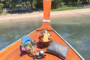 Koh Samui: Electric Long-tail Boat Eco Tour to Pig Island