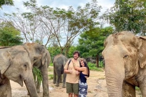 Koh Samui: Halvdagstur til Elephant Kingdom Sanctuary