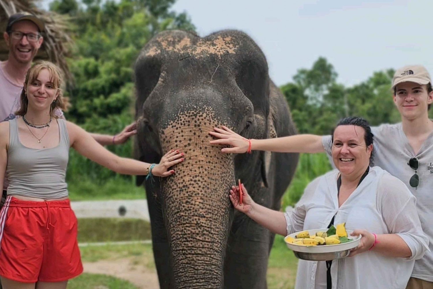 Koh Samui: Samu: Elefanttien suojelualue ja viidakkokierros lounaalla