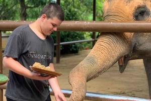 Koh Samui: Elefantreservat og jungeltur med lunsj