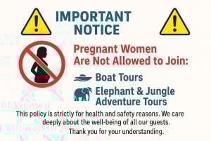 Koh Samui: Olifantenopvang en Jungle Tour met Lunch