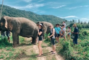 Koh Samui: Santuario degli elefanti e altro - Giornata intera
