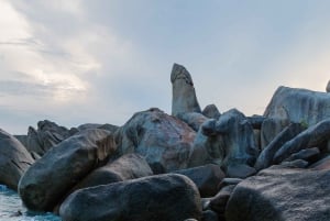 Koh Samui: Santuario degli elefanti e altro - Giornata intera