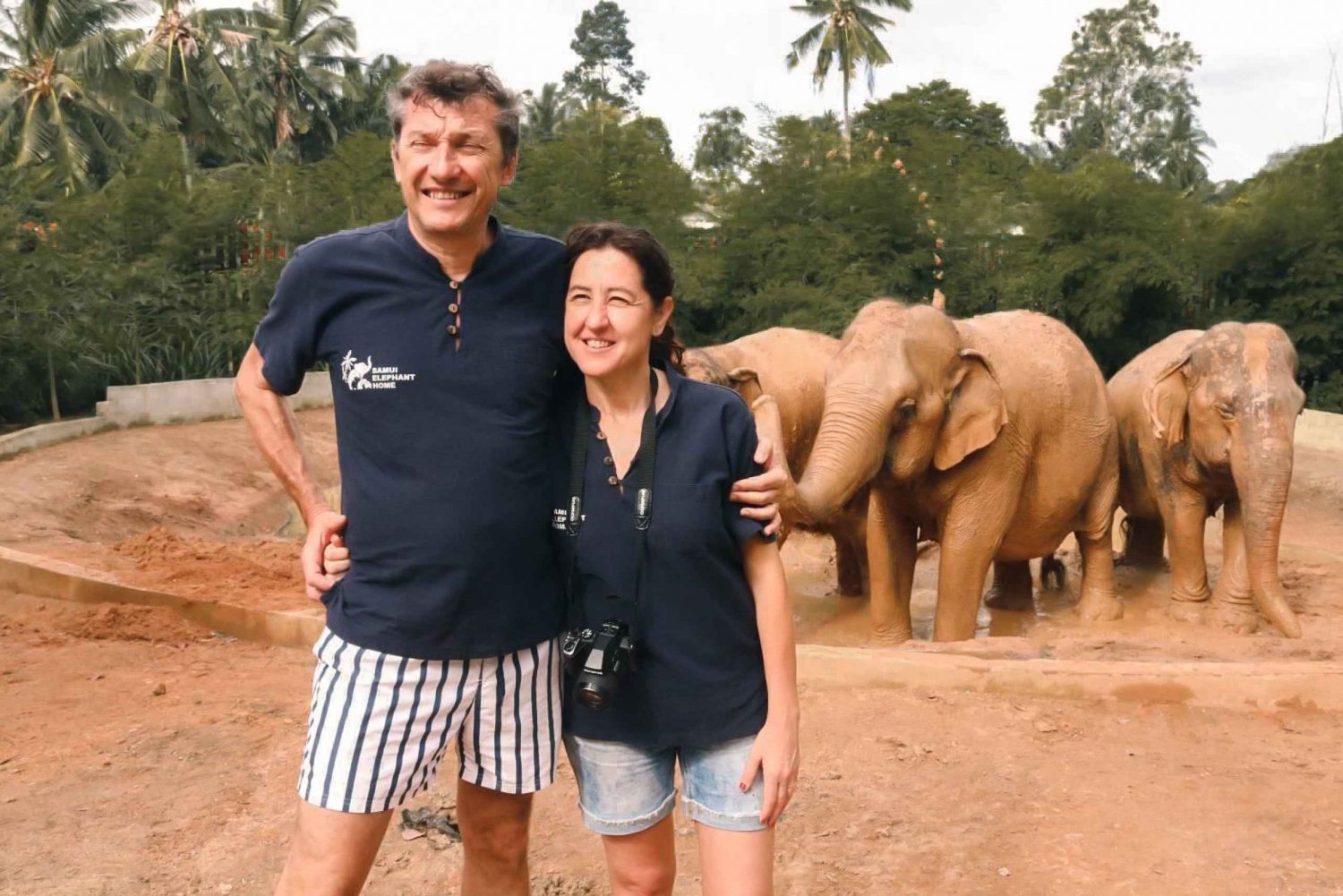 Koh Samui: Ethical Elephant Home Guided Tour with Transfers
