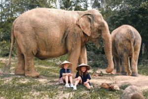 Koh Samui: Ethical Elephant Home Guided Tour with Transfers