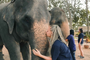 Koh Samui: Ethical Elephant Home Guided Tour with Transfers