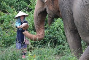 Ethical Elephant Home Guided Tour with Transfers