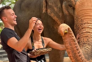 Koh Samui: Ethical Elephant Home Rondleiding met Transfers