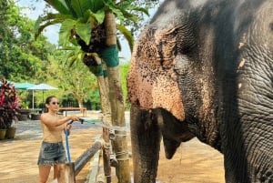 Koh Samui: Ethical Elephant Home Rondleiding met Transfers