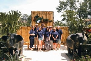 Koh Samui: Ethical Elephant Home