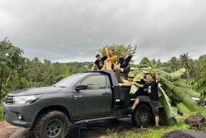 Koh Samui: Ethical Elephant Observation Half-Day Tour